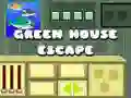 Juego Escape de la casa verde en línea Juego Escape de la casa verde en línea