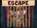 Juego Escape de la hermosa pequeña murciélago en línea Juego Escape de la hermosa pequeña murciélago en línea