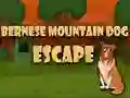 Juego Escape del perro de montaña bernés en línea