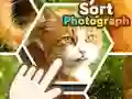 Juego Clasificar fotografías en línea Juego Clasificar fotografías en línea