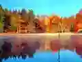 Juego Simulador de Pesca en Línea en línea Juego Simulador de Pesca en Línea en línea