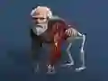 Juego Evolución Inactiva: De Célula a Humano en línea Juego Evolución Inactiva: De Célula a Humano en línea