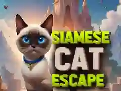 Juego Escape del gato siamés en línea Juego Escape del gato siamés en línea