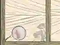 Juego Burbuja Quod en línea