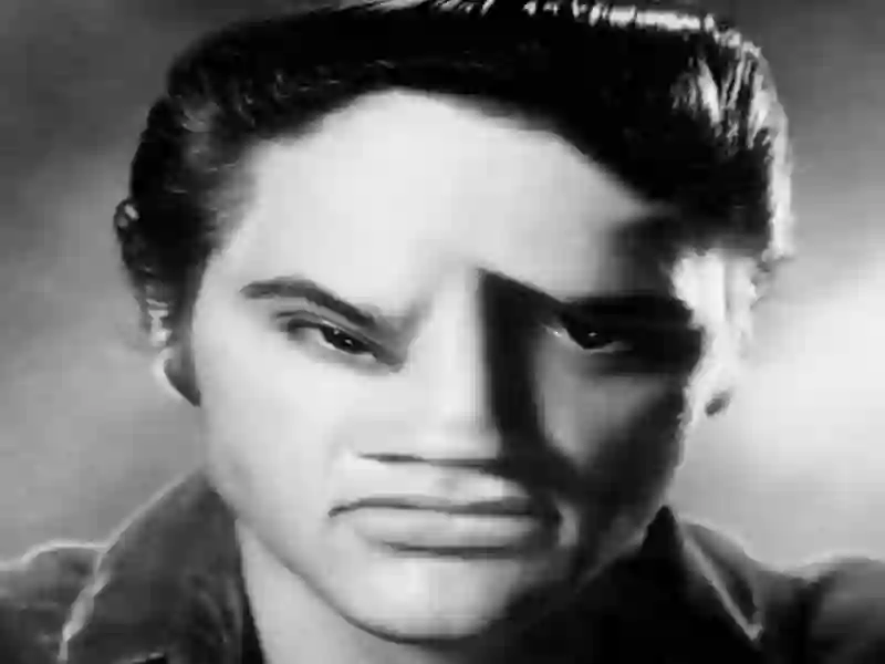 Juego Cara divertida de Elvis en línea