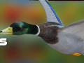 Juego Cazador de patos: Bosque de otoño en línea