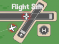 Juego Simulador de Vuelo en línea