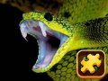Juego Desafío Puzzle de Serpiente en línea