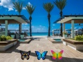 Juego Encuentra 100 mariposas en línea