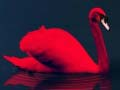 Juego Rompecabezas de Pájaros de Amor en línea