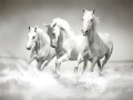 Juego Rompecabezas de caballos en línea