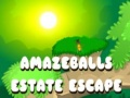 Juego Escape Asombroso de la Mansión en línea