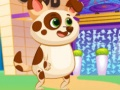 Juego Perro Virtual Encantador en línea