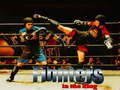 Juego Luchadores en el Ring en línea