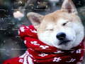 Juego Rompecabezas de Mascotas de Invierno en línea