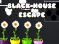 Juego Escape de la Casa Negra en línea