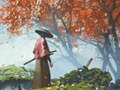Juego Reflexión Samurai en línea
