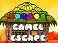Juego Escape de camello en línea