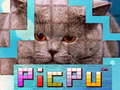 Juego PicPu Gato en línea