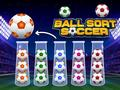 Juego Ordenar Balones Fútbol en línea