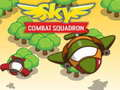 Juego Escuadrón de Combate del Cielo en línea