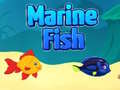 Juego Pez marino en línea