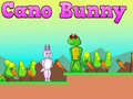 Juego Cano Conejo en línea