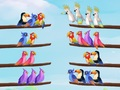 Juego Rompecabezas de clasificación de aves en línea