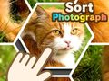 Juego Clasificar fotografías en línea