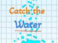 Juego Atrapa el agua en línea