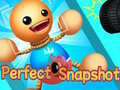 Juego Instantánea Perfecta en línea