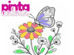 Juego Pinta Color en línea