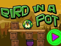 Juego Pájaro en una olla en línea