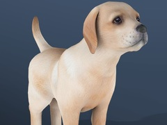 Juego Mascota inactiva en línea