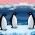 pingüinos pingüinos en línea